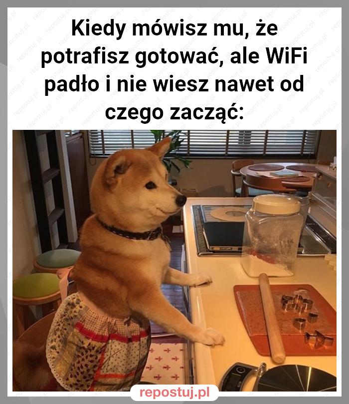 Kiedy mówisz mu, że potrafisz gotować, ale WiFi padło i nie wiesz nawet od czego zacząć: