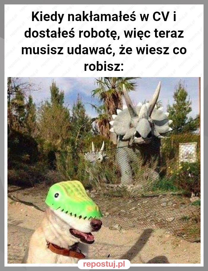 Kiedy nakłamałeś w CV i dostałeś robotę, więc teraz musisz udawać, że wiesz co robisz: