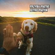 Piątka!