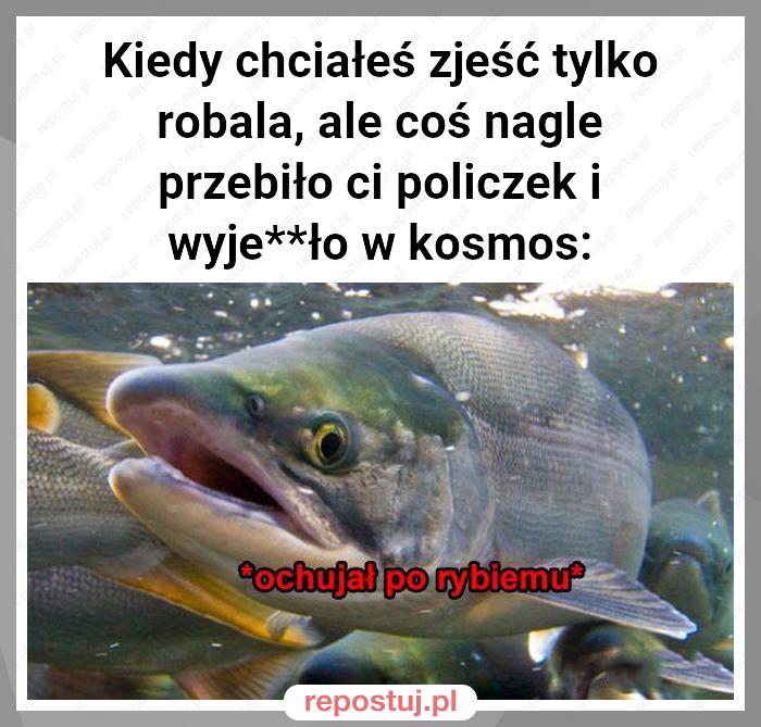 Kiedy chciałeś zjeść tylko robala, ale coś nagle przebiło ci policzek i wyje**ło w kosmos: