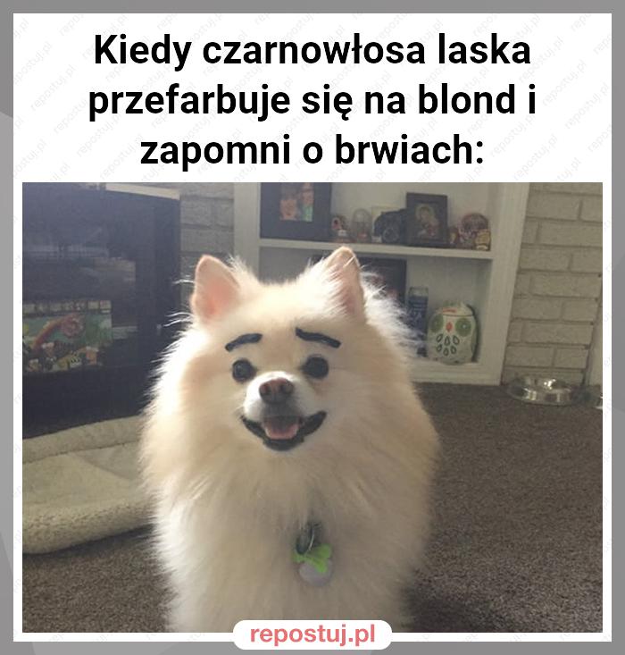 Kiedy czarnowłosa laska przefarbuje się na blond i zapomni o brwiach: