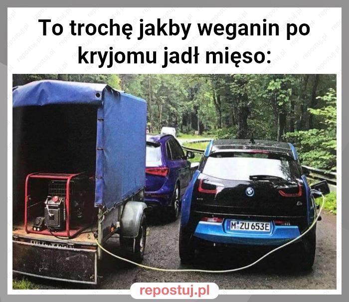 To trochę jakby weganin po kryjomu jadł mięso: