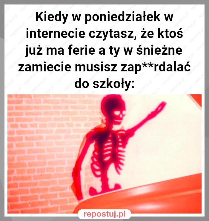 Kiedy w poniedziałek w internecie czytasz, że ktoś już ma ferie a ty w śnieżne zamiecie musisz zap**rdalać do szkoły: