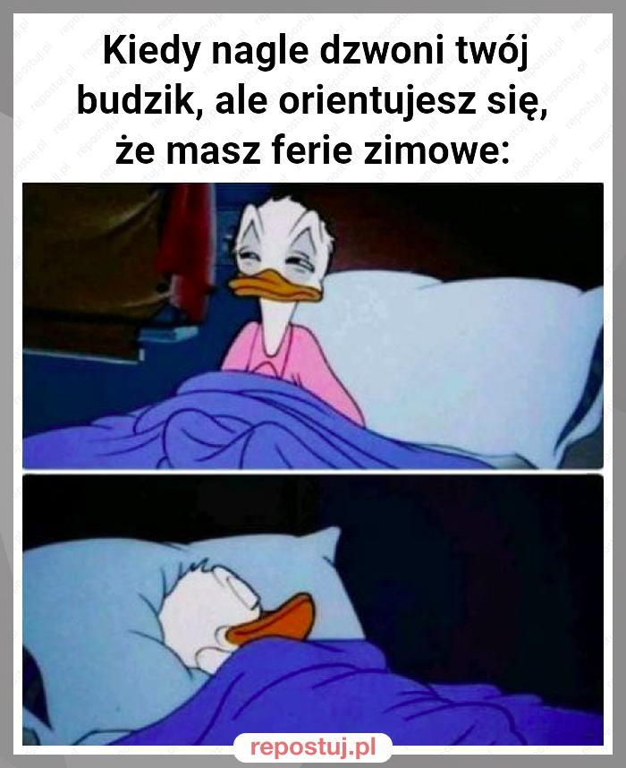 Kiedy nagle dzwoni twój budzik, ale orientujesz się, że masz ferie zimowe: