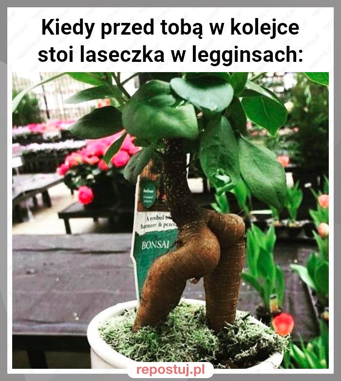 Kiedy przed tobą w kolejce stoi laseczka w legginsach: