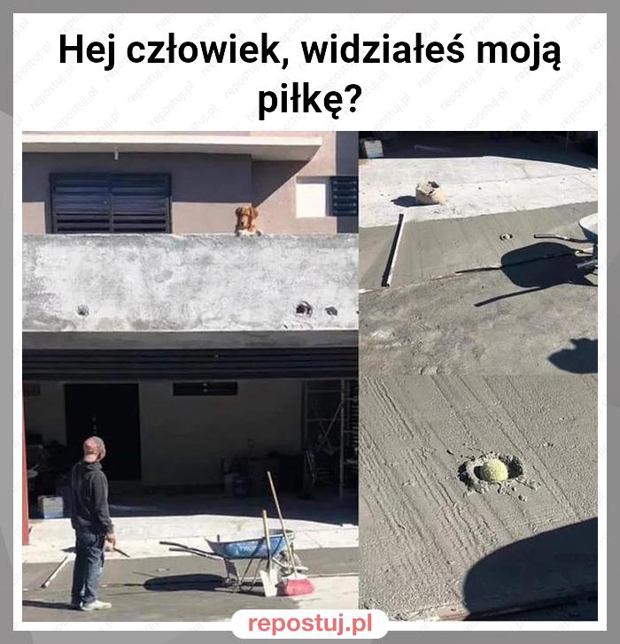 Hej człowiek, widziałeś moją piłkę?