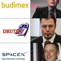 Elon