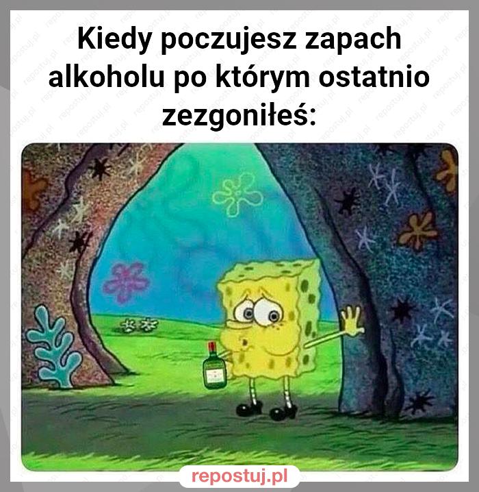 Kiedy poczujesz zapach alkoholu po którym ostatnio zezgoniłeś: