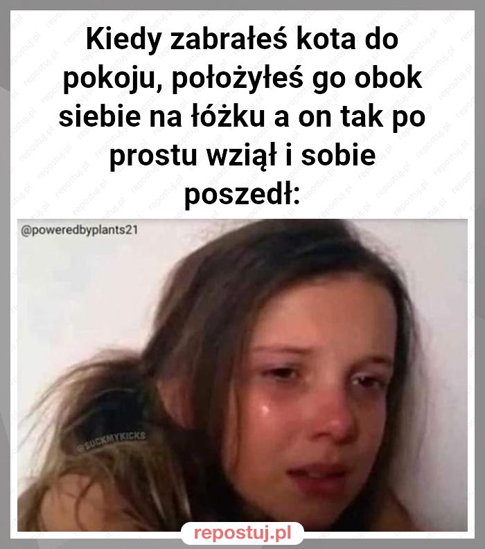 Kiedy zabrałeś kota do pokoju, położyłeś go obok siebie na łóżku a on tak po prostu wziął i sobie poszedł: