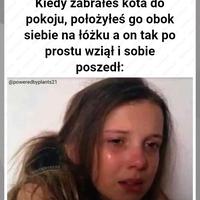 Największa