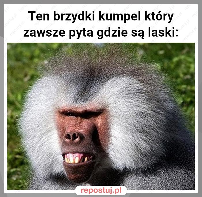 Ten brzydki kumpel który zawsze pyta gdzie są laski: