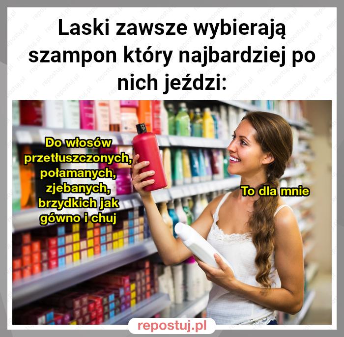 Laski zawsze wybierają szampon który najbardziej po nich jeździ: