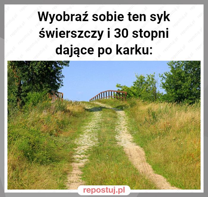 Wyobraź sobie ten syk świerszczy i 30 stopni dające po karku: