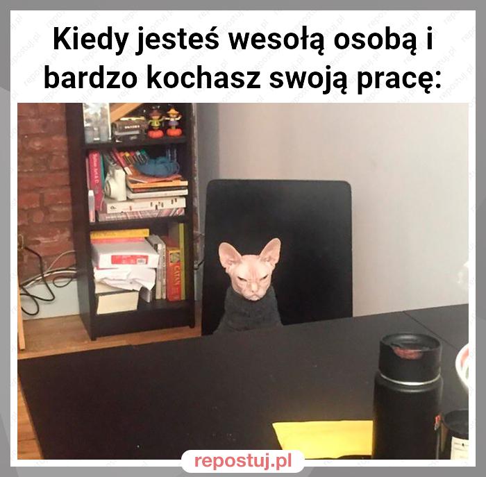 Kiedy jesteś wesołą osobą i bardzo kochasz swoją pracę: