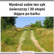 Wyobraź sobie