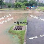 Ogólnie wiedza