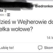 Krowa ze skrzydłami