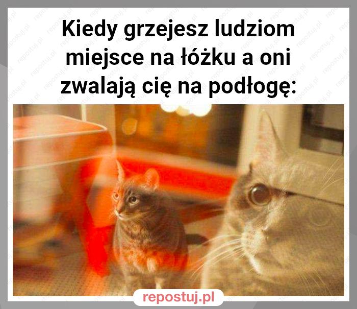 Kiedy grzejesz ludziom miejsce na łóżku a oni zwalają cię na podłogę: