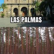 Las Palmas