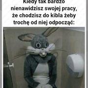 Co ja robię ze swoim życiem