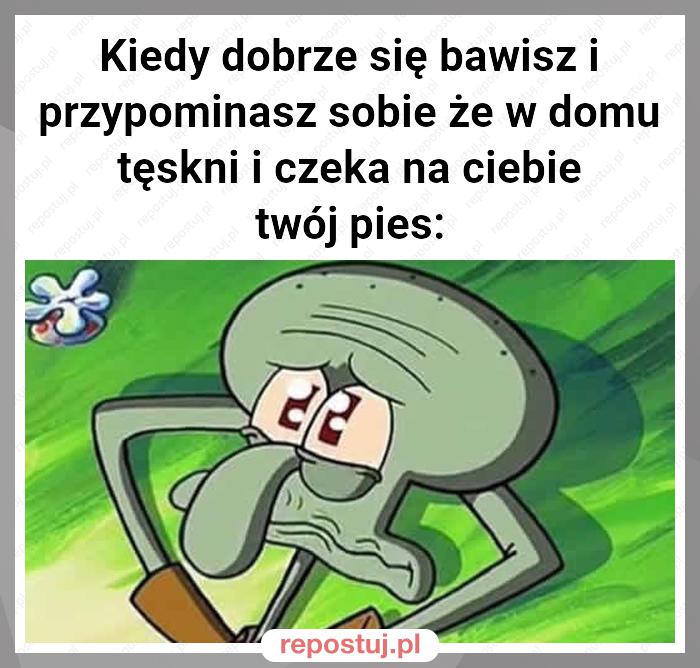 Kiedy dobrze się bawisz i przypominasz sobie że w domu tęskni i czeka na ciebie twój pies: