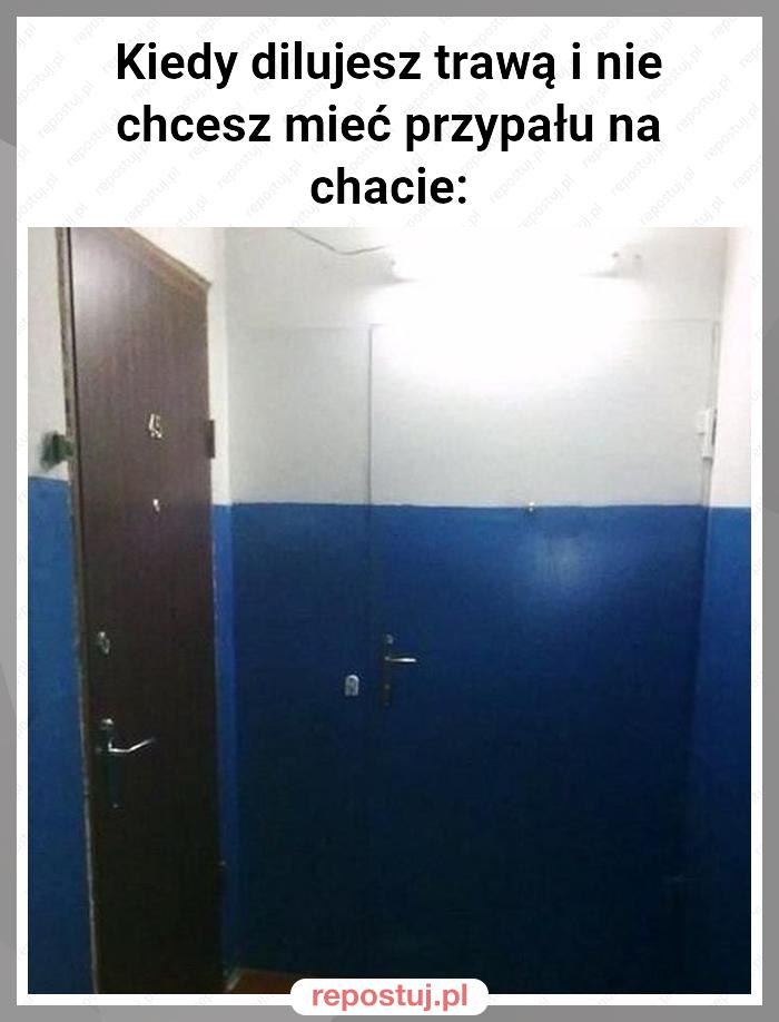 Kiedy dilujesz trawą i nie chcesz mieć przypału na chacie: