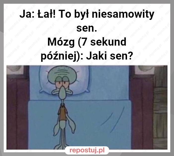 Ja: Łał! To był niesamowity sen.
Mózg (7 sekund później): Jaki sen?