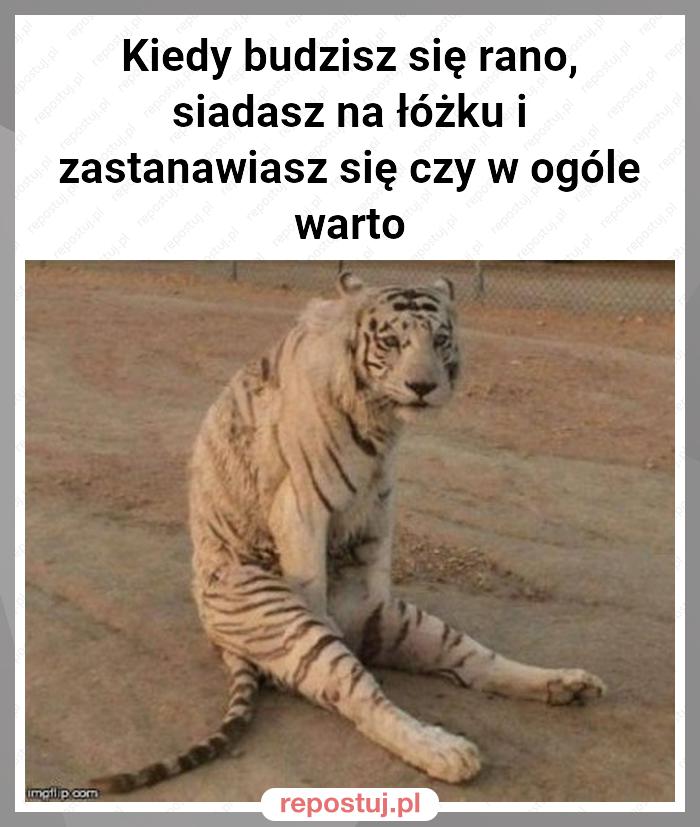 Kiedy budzisz się rano, siadasz na łóżku i zastanawiasz się czy w ogóle warto