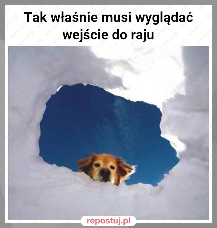 Tak właśnie musi wyglądać wejście do raju