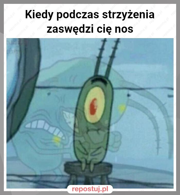 Kiedy podczas strzyżenia zaswędzi cię nos