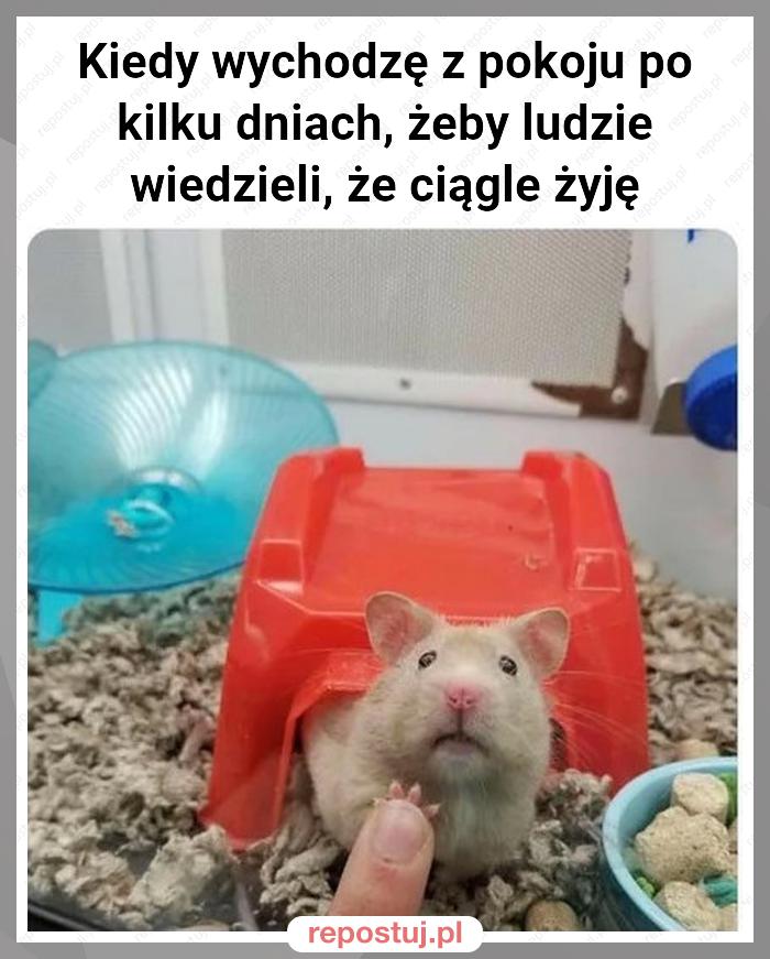 Kiedy wychodzę z pokoju po kilku dniach, żeby ludzie wiedzieli, że ciągle żyję