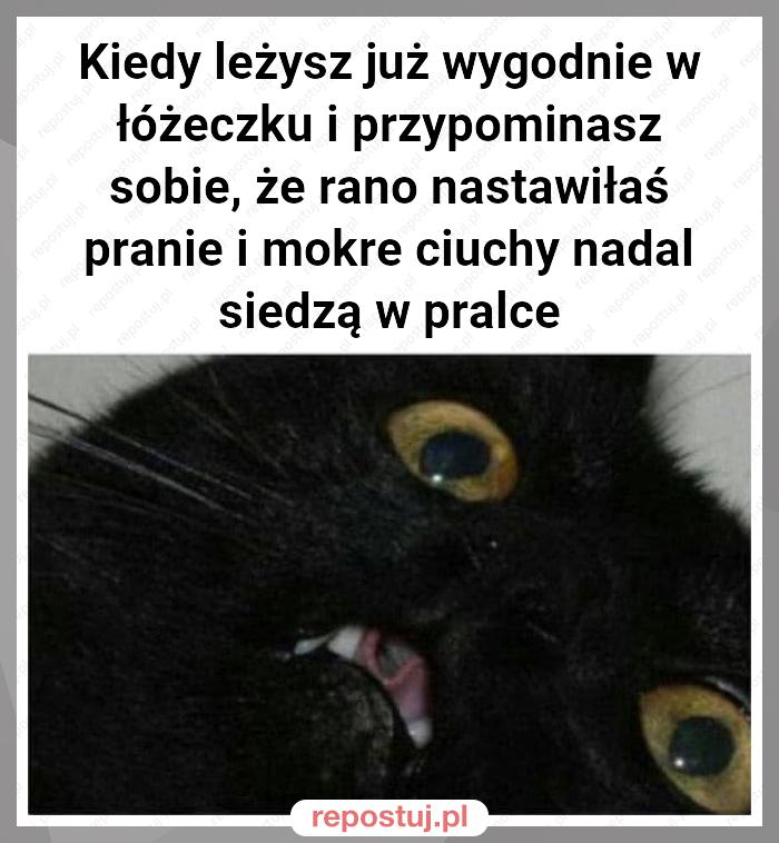 Kiedy leżysz już wygodnie w łóżeczku i przypominasz sobie, że rano nastawiłaś pranie i mokre ciuchy nadal siedzą w pralce