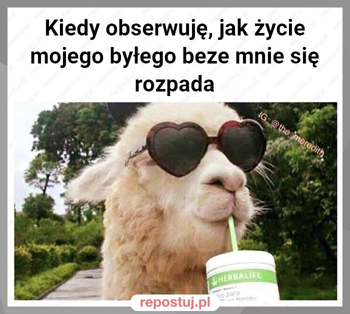 Kiedy obserwuję, jak życie mojego byłego beze mnie się rozpada