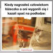 Człowieki takie są