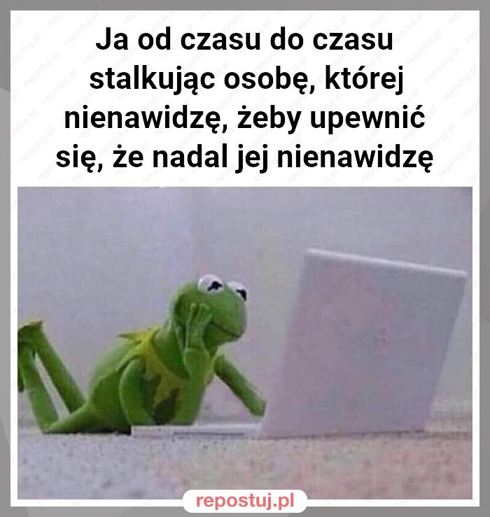 Ja od czasu do czasu stalkując osobę, której nienawidzę, żeby upewnić się, że nadal jej nienawidzę