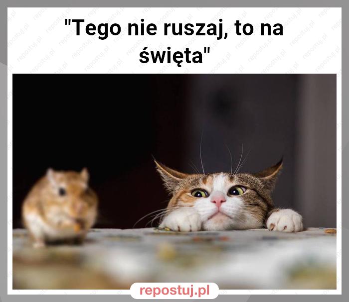 "Tego nie ruszaj, to na święta"