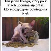 Każdy takiego ma