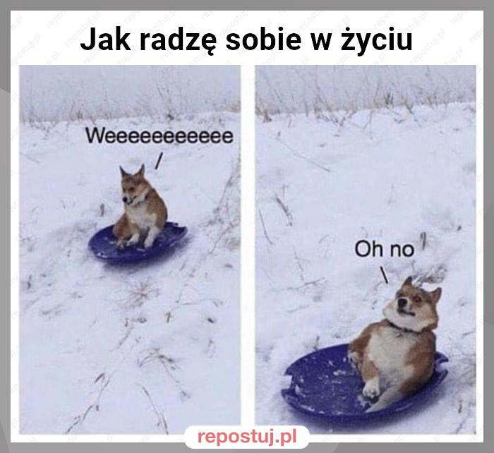 Jak radzę sobie w życiu