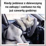 Ile można?!