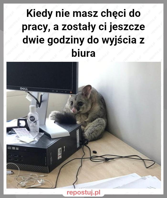 Kiedy nie masz chęci do pracy, a zostały ci jeszcze dwie godziny do wyjścia z biura