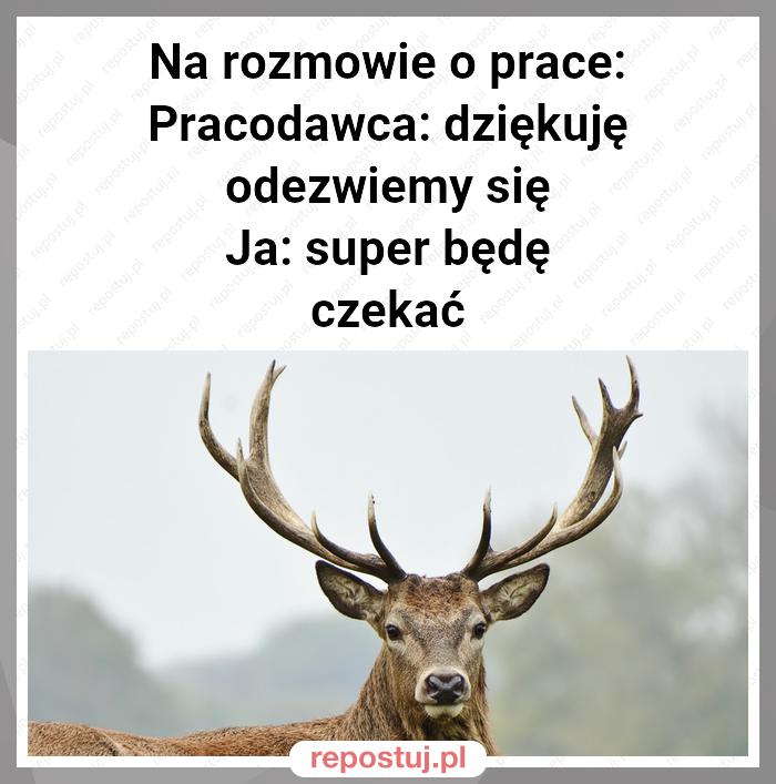 Na rozmowie o prace:
Pracodawca: dziękuję odezwiemy się
Ja: super będę czekać