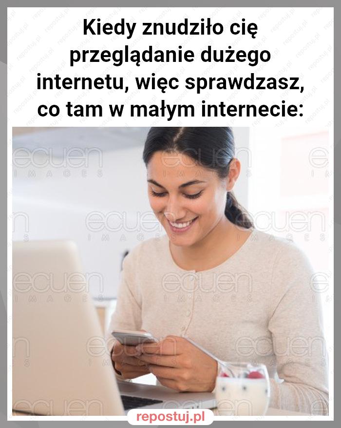 Kiedy znudziło cię przeglądanie dużego internetu, więc sprawdzasz, co tam w małym internecie: