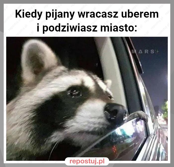 Kiedy pijany wracasz uberem i podziwiasz miasto: