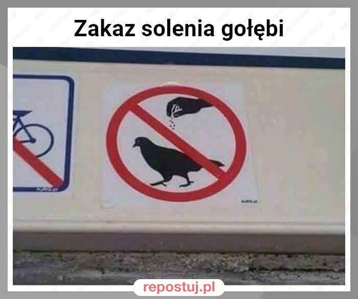 Zakaz solenia gołębi