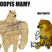 Podpisy