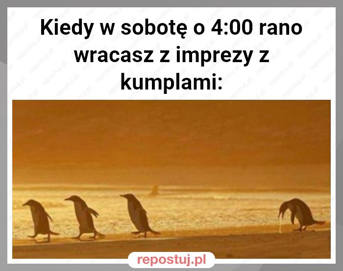 Kiedy w sobotę o 4:00 rano wracasz z imprezy z kumplami: