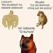 W robocie tak będzie