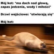 Wolność!