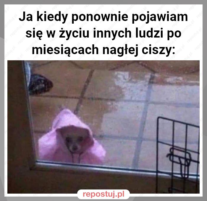 Ja kiedy ponownie pojawiam się w życiu innych ludzi po miesiącach nagłej ciszy: