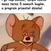 Programowanie